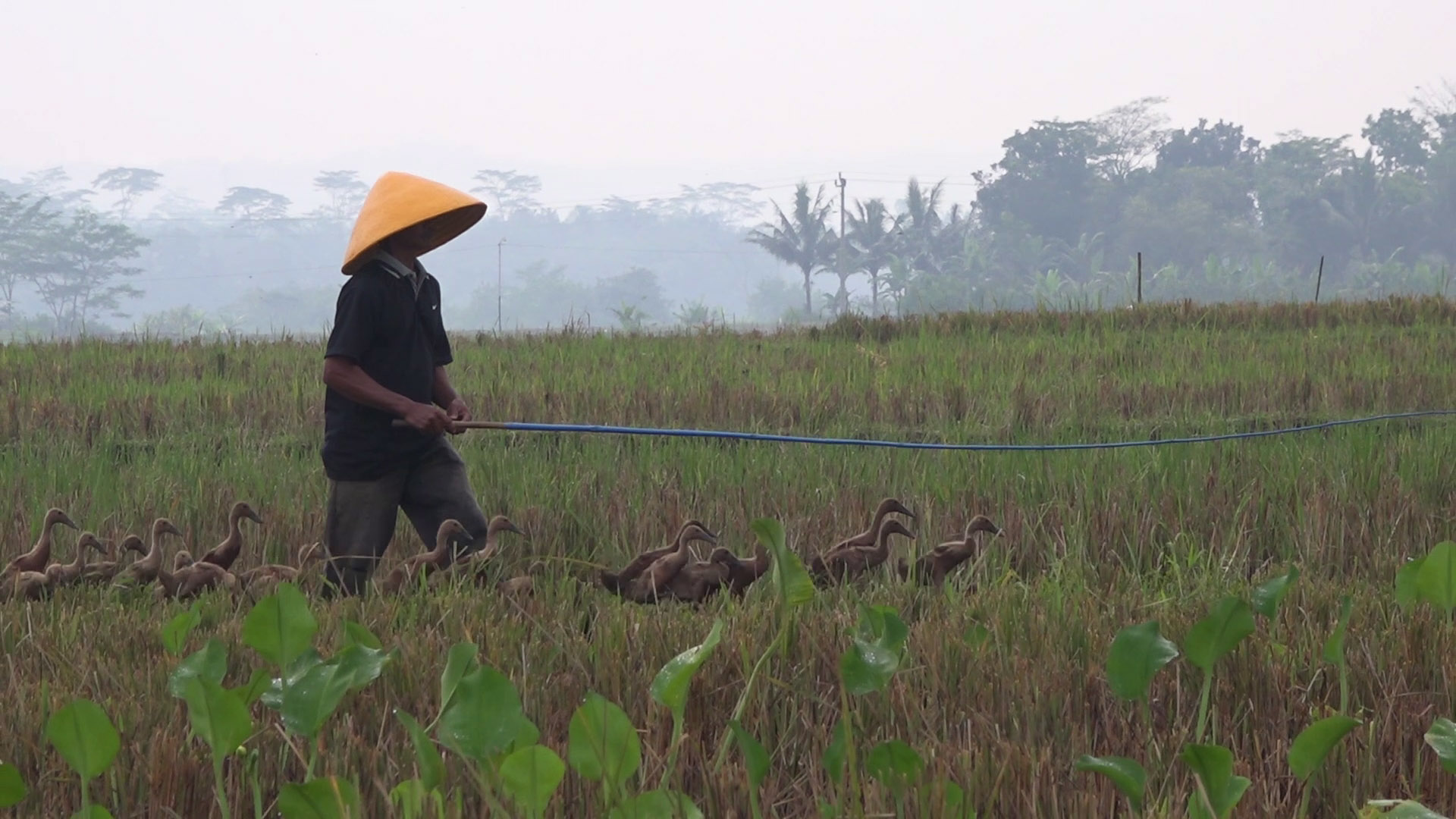Tiga Dokumenter Pelajar Purbalingga Dominasi FFD 2022 Tiga Dokumenter Pelajar Purbalingga Dominasi FFD 2022